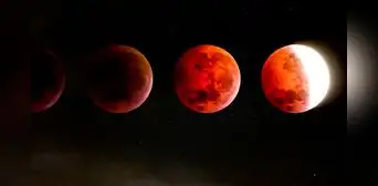 Eclipse lunar 2023 en Venezuela EN VIVO: MIRA las mejores imágenes y videos del fenómeno celeste