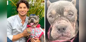 Andrés Wiese: conoce la difícil historia de su perrita Menta y la enfermedad que ahora padece Andrés Wiese: conoce la difícil historia de su perrita Menta y la enfermedad que ahora padece