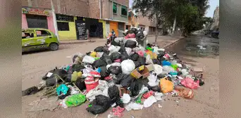 SJM: encuentran feto de 7 meses abandonado entre cúmulos de basura SJM: encuentran feto de 7 meses abandonado entre cúmulos de basura