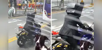 Peruano asombra al utilizar un ‘televisor’ en la cabeza y usuarios afirman: “El verdadero TV Man” Peruano asombra al utilizar un ‘televisor’ en la cabeza y usuarios afirman: “El verdadero TV Man”