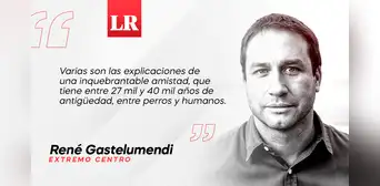 Perros y humanos: esa mágica mirada, por René Gastelumendi