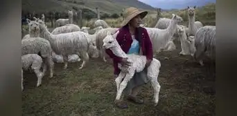 Fenómeno El Niño: darán apoyo económico a agricultores y pobladores de Arequipa Fenómeno El Niño: darán apoyo económico a agricultores y pobladores de Arequipa