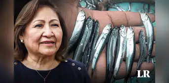 Produce: No se modificará talla mínima de anchoveta ni se aumentará cuota de pesca Produce: No se modificará talla mínima de anchoveta ni se aumentará cuota de pesca
