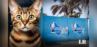 Gato provocó corte de agua en diferentes distritos de Chiclayo: ¿qué ocurrió según Epsel?