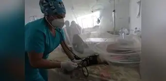 Más de 36.000 contagios y 155 fallecidos por dengue en Lambayeque Más de 36.000 contagios y 155 fallecidos por dengue en Lambayeque