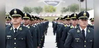 Congreso: Comisión de Defensa debatirá y votará proyecto que crea la Policía de Orden
