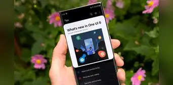 Samsung One UI 6: la lista de teléfonos de las series S, A, M y Z que podrán actualizarse