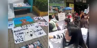 Justicia para Torito: decenas de ciudadanos protestan en defensa de perrito ultrajado en VMT Justicia para Torito: decenas de ciudadanos protestan en defensa de perrito ultrajado en VMT
