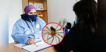 Hospital Cayetano Heredia: especialistas salvan a menor con caso grave de mordedura de araña Hospital Cayetano Heredia: especialistas salvan a menor con caso grave de mordedura de araña