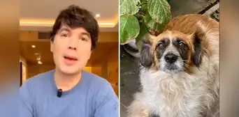 Bruno Pinasco se despide de Chasca, su mascota, con emotivo mensaje: "Está en el cielo de los perritos" Bruno Pinasco se despide de Chasca, su mascota, con emotivo mensaje: "Está en el cielo de los perritos"