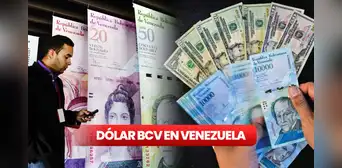 Dólar BCV HOY, 8 de noviembre ¿cuál es el precio del dólar en Venezuela? Dólar BCV HOY, 8 de noviembre ¿cuál es el precio del dólar en Venezuela?