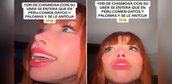 Reacción de influencer mexicana cuando le dicen que en Perú comen gatos y palomas se vuelve viral Reacción de influencer mexicana cuando le dicen que en Perú comen gatos y palomas se vuelve viral