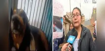 SJM: ladrón acuchilló a una perrita tras robar en una vivienda SJM: ladrón acuchilló a una perrita tras robar en una vivienda