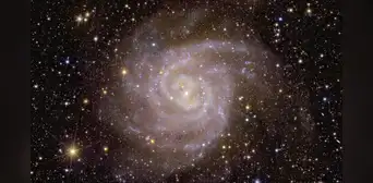 Telescopio Euclid de la ESA revela sus primeras imágenes del 'universo invisible' Telescopio Euclid de la ESA revela sus primeras imágenes del 'universo invisible'