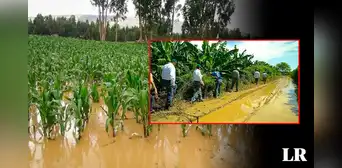 ¿Cuál sería el impacto del fenómeno El Niño en la región Piura? ¿Cuál sería el impacto del fenómeno El Niño en la región Piura?
