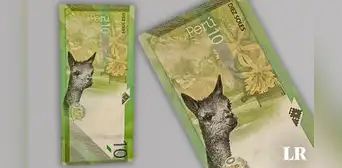 ¿Cuál es la inusual flor que crece en San Juan de Lurigancho y aparece en billete coleccionable de S/10? ¿Cuál es la inusual flor que crece en San Juan de Lurigancho y aparece en billete coleccionable de S/10?