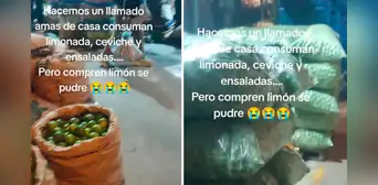 Comerciante pide a amas de casa que compren su limón para que no se le pudra: “Ya está barato”