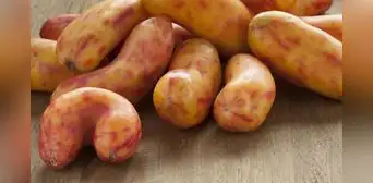 El olluco es nombrado como uno de los mejores vegetales del mundo por Taste Atlas El olluco es nombrado como uno de los mejores vegetales del mundo por Taste Atlas