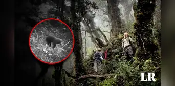Se creía que estaba extinto: cámaras captan a un mamífero que vivió en la época de los dinosaurios
