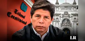 Pedro Castillo: abogados presentan dos hábeas corpus al TC y acciones de amparo contra el Congreso