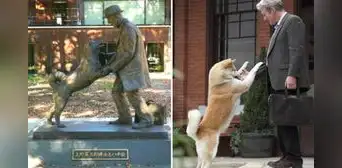 Hachiko: 100 años esperando en la estación, la conmovedora historia de fidelidad de un perro Hachiko: 100 años esperando en la estación, la conmovedora historia de fidelidad de un perro