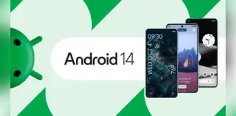 Android 14: los teléfonos Samsung, Xiaomi, Motorola, Honor, Redmi, POCO y OPPO que se renuevan Android 14: los teléfonos Samsung, Xiaomi, Motorola, Honor, Redmi, POCO y OPPO que se renuevan