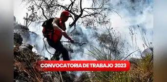 ¿Acabaste la secundaria? Sernanp ofrece 47 puestos laborales con sueldos desde S/1.600