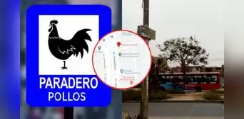 Paradero Pollos: ¿por qué se llama así esta parada del distrito de Comas si no hay una granja avícola? Paradero Pollos: ¿por qué se llama así esta parada del distrito de Comas si no hay una granja avícola?