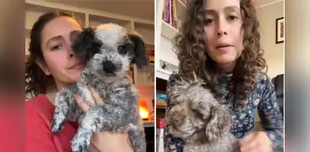 Abogada de EE.UU. deja su carrera para ser psíquica de mascotas: "La comunicación con animales es real" Abogada de EE.UU. deja su carrera para ser psíquica de mascotas: "La comunicación con animales es real"