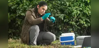 ¿Cuánto gana un ingeniero ambiental en el sector público? Este es el sueldo promedio