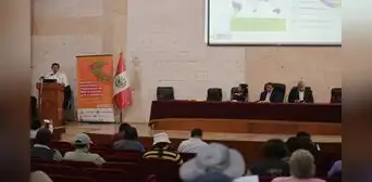 Arequipa consume verduras contaminadas de agroquímicos Arequipa consume verduras contaminadas de agroquímicos
