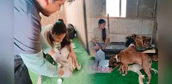 ¿Buscas atender a tu mascota en SJL? Conoce la veterinaria solidaria más económica del distrito ¿Buscas atender a tu mascota en SJL? Conoce la veterinaria solidaria más económica del distrito