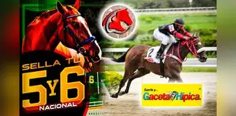 Traqueos y pronósticos La Rinconada, 19 de noviembre: mira AQUÍ los datos fijos de Fusión Hípica y Gaceta Hípica Traqueos y pronósticos La Rinconada, 19 de noviembre: mira AQUÍ los datos fijos de Fusión Hípica y Gaceta Hípica