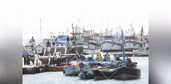 Pescadores de anchoveta en crisis solicitan ayuda en Piura Pescadores de anchoveta en crisis solicitan ayuda en Piura