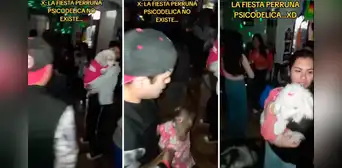 Realiza fiesta psicodélica a su perro y van todas las mascotas del barrio: “El que no baila no tiene premio”