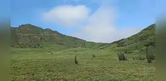 ¡'Lomas de los Teletubbies' GRATIS! ¿a cuántas horas de Lima quedan y cómo llegar? ¡'Lomas de los Teletubbies' GRATIS! ¿a cuántas horas de Lima quedan y cómo llegar?