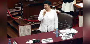 Congreso: comisión de Martha Moyano pretende hoy eliminar los movimientos regionales