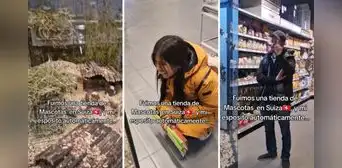 Peruana se emociona al encontrar cuy en Suiza y en redes bromean: “En Europa no se come” Peruana se emociona al encontrar cuy en Suiza y en redes bromean: “En Europa no se come”
