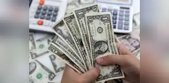 Dólar inicia a baja y se ubica en S/3,7446 este lunes 20 de noviembre Dólar inicia a baja y se ubica en S/3,7446 este lunes 20 de noviembre