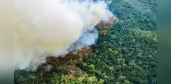 Serfor: más del 70% de incendios forestales han ocurrido en la Amazonía Peruana Serfor: más del 70% de incendios forestales han ocurrido en la Amazonía Peruana
