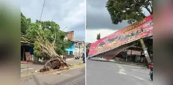 Fuertes vientos destruyen casas y provocan caída de árboles en Loreto