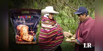 De Lambayeque para el Perú: panetón de hongos comestibles a la conquista de los paladares en Navidad De Lambayeque para el Perú: panetón de hongos comestibles a la conquista de los paladares en Navidad