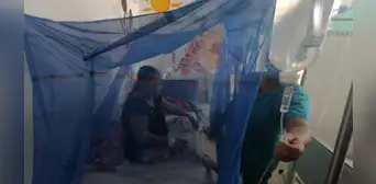 Piura registra 147 muertos por dengue y temen aumento Piura registra 147 muertos por dengue y temen aumento