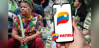NUEVO BONO de 705 bolívares, noviembre: cobra en 5 pasos el NUEVO PAGO por Patria NUEVO BONO de 705 bolívares, noviembre: cobra en 5 pasos el NUEVO PAGO por Patria