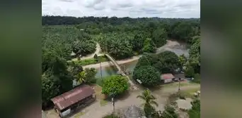 Promoción de hidrocarburos a costa de la Amazonía, los pueblos indígenas y la lucha contra el cambio climático Promoción de hidrocarburos a costa de la Amazonía, los pueblos indígenas y la lucha contra el cambio climático