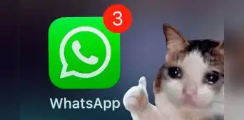 WhatsApp: ¿qué hacer si no recibes notificaciones y solo ves mensajes nuevos al entrar a la app? WhatsApp: ¿qué hacer si no recibes notificaciones y solo ves mensajes nuevos al entrar a la app?