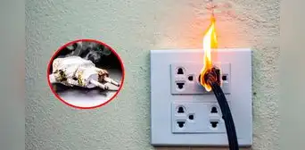 ¿Cómo evitar cortocircuitos en casa si instalarás aparatos eléctricos por fechas festivas? ¿Cómo evitar cortocircuitos en casa si instalarás aparatos eléctricos por fechas festivas?