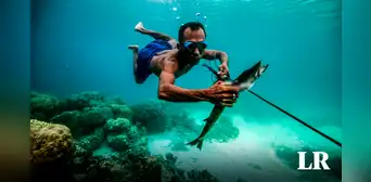 Los Bajau: evolucionaron para resistir hasta 13 minutos bajo el mar y sumergirse 60 metros Los Bajau: evolucionaron para resistir hasta 13 minutos bajo el mar y sumergirse 60 metros