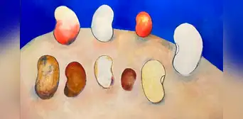 Mónica Luza, artista peruana, presentará su muestra 'Lenguaje originario - El pallar' Mónica Luza, artista peruana, presentará su muestra 'Lenguaje originario - El pallar'