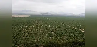 En enero de 2024 se sabrá qué país ejecutará obras de III etapa de Chavimochic En enero de 2024 se sabrá qué país ejecutará obras de III etapa de Chavimochic